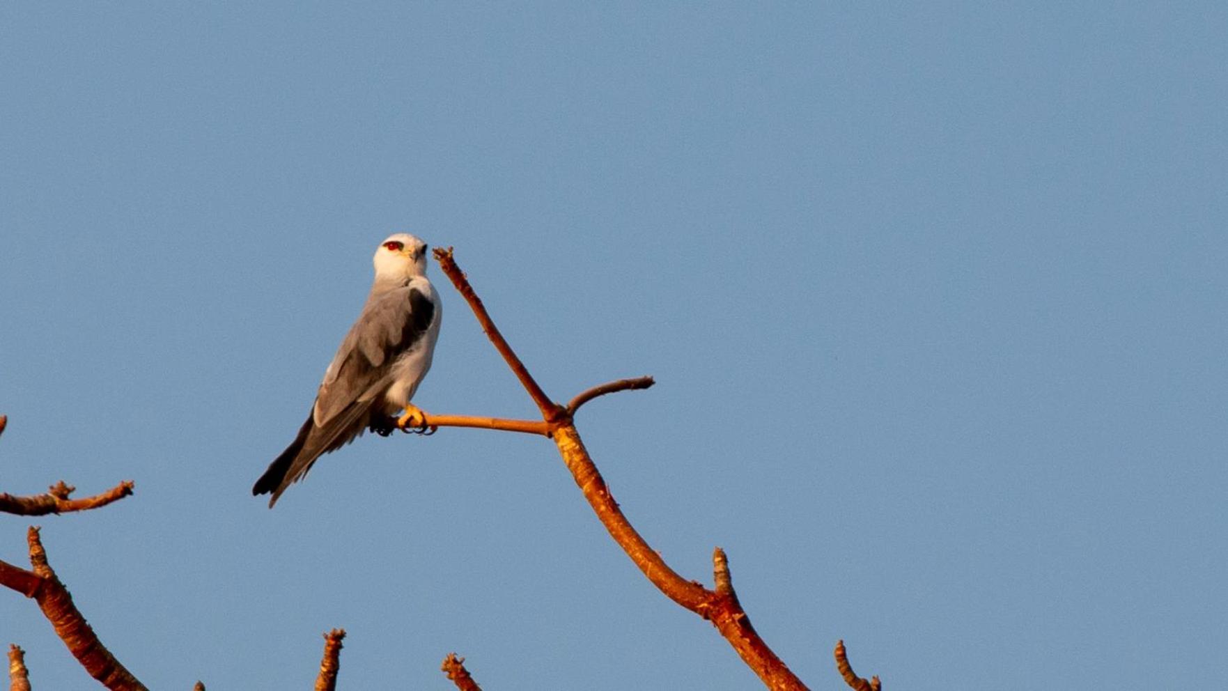 Dera Baghdarrah Nature Retreat Удайпур Екстер'єр фото